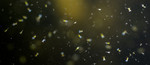 BB_20170325_0002