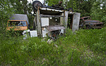 BB_20170618_0354