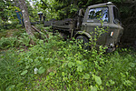 BB_20170618_0434