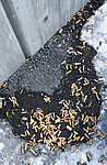 BB_20180326_0006
