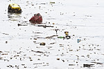 BB_20181202_0124