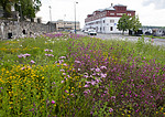 BB_20190606_0105