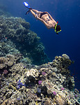 BB_20191003_0168