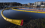BB_20200115_0012