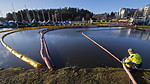 BB_20200115_0013
