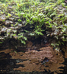 BB_20201021_0007