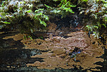 BB_20201021_0009