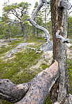 BB_20210802_0069