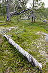 BB_20210802_0080