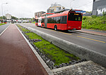 BB_20230809_0003
