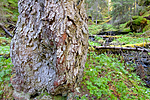 KA_05_1_3888