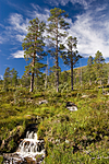 KA_05_1_4967