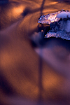 KA_05_1_6485