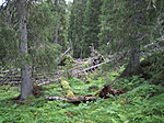 KA_05_2_0427_w