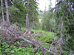 KA_05_2_0444_w