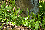 KA_06_1_0618