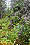 KA_07_1_0912