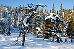 KA_08_1_0035