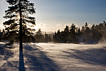 KA_08_1_0048