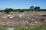 KA_08_1_1549