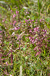 KA_08_1_1579