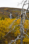 KA_08_1_2109
