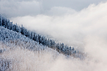 KA_08_1_2551