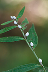 KA_090915_2800