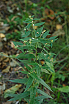 KA_090915_2801