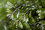 KA_090922_2820
