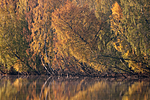KA_091008_2870