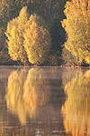 KA_091008_2871