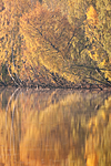 KA_091008_2872