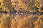 KA_091008_2873