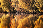 KA_091008_2873_2