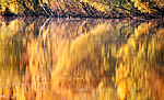 KA_091008_2874_2