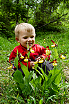 KA_100613_3785 / Cypripedium calceolus / Marisko