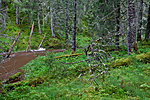 KA_110817_4209