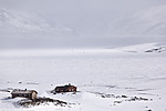 KA_120406_3817