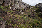 KA_120920_4144