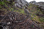 KA_120920_4145