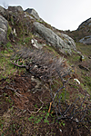 KA_120920_4148