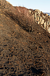 KA_130408_0735