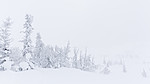 KA_140126_0195