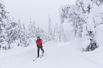 KA_140201_0203