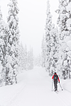 KA_140201_0206