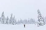 KA_140201_0209