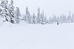 KA_140201_0211