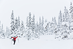 KA_140201_0218