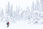 KA_140201_0219
